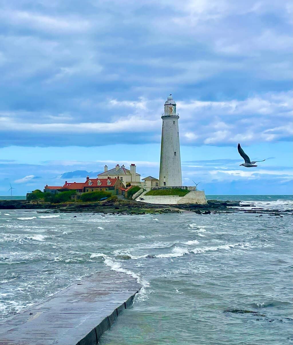 Coastal History & Nature