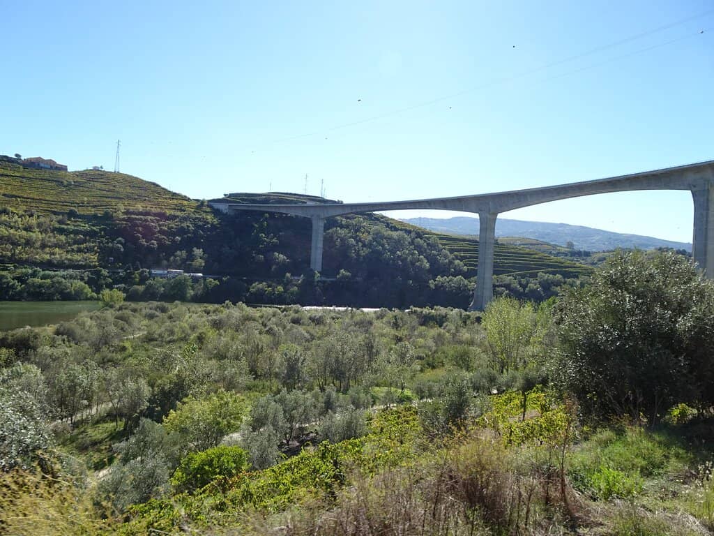 Pedestrian Promenade