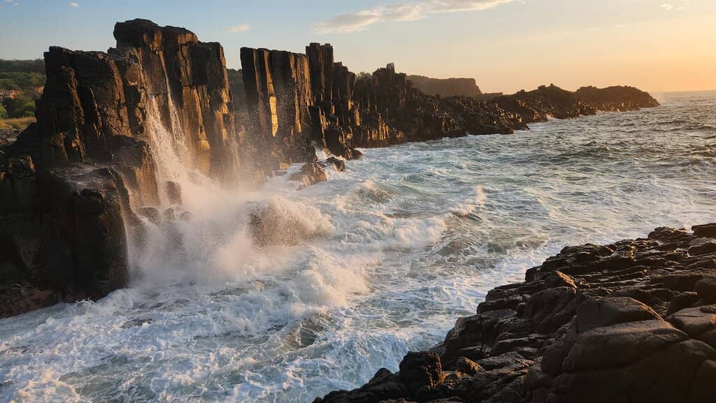 Surfer's Haven