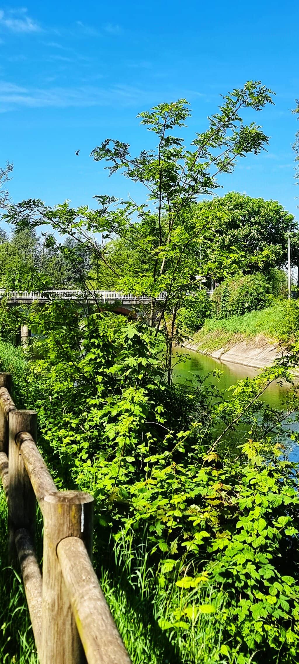 Nature Immersion