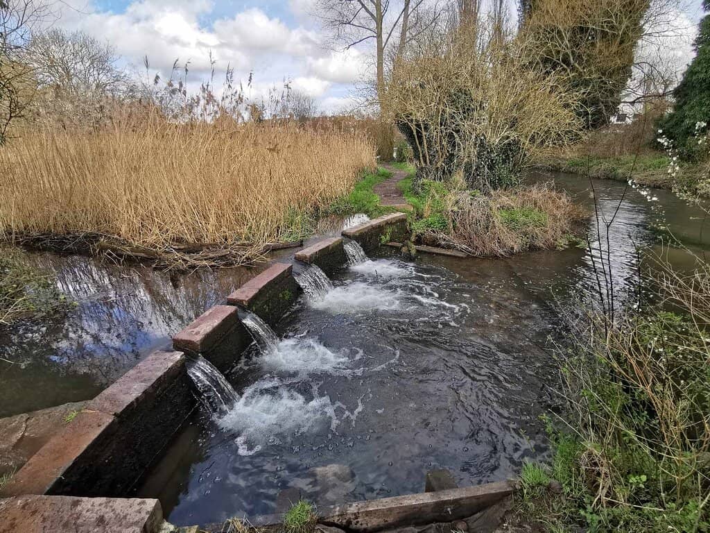 Mini Waterfalls & Stepping Stones