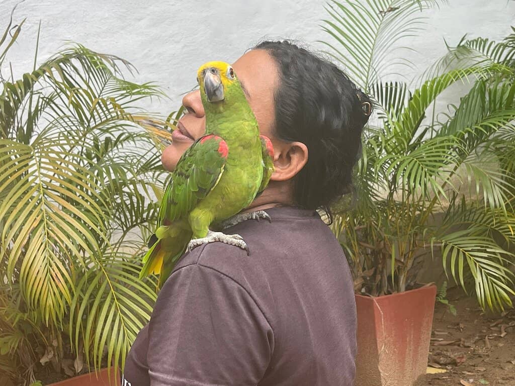 River Tubing to the Coast