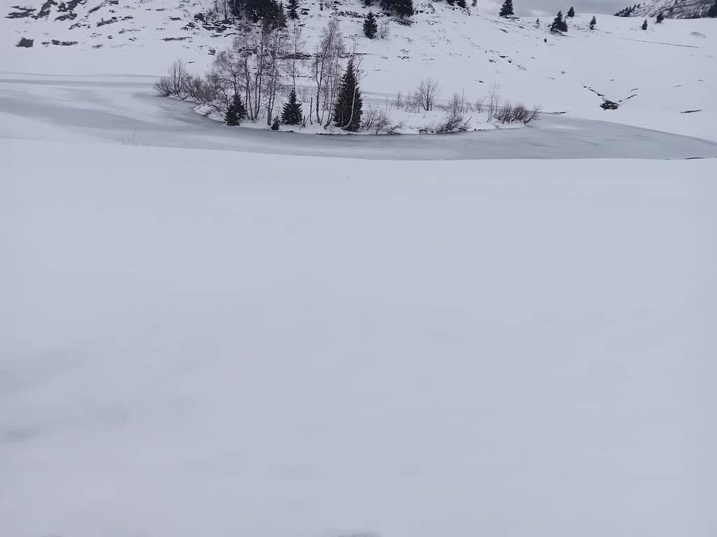 Alpine Forested Route