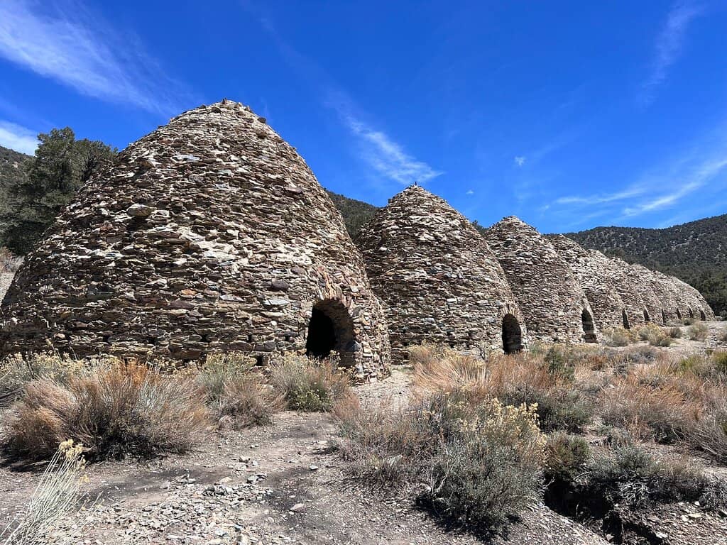 Wildrose Trail Hike
