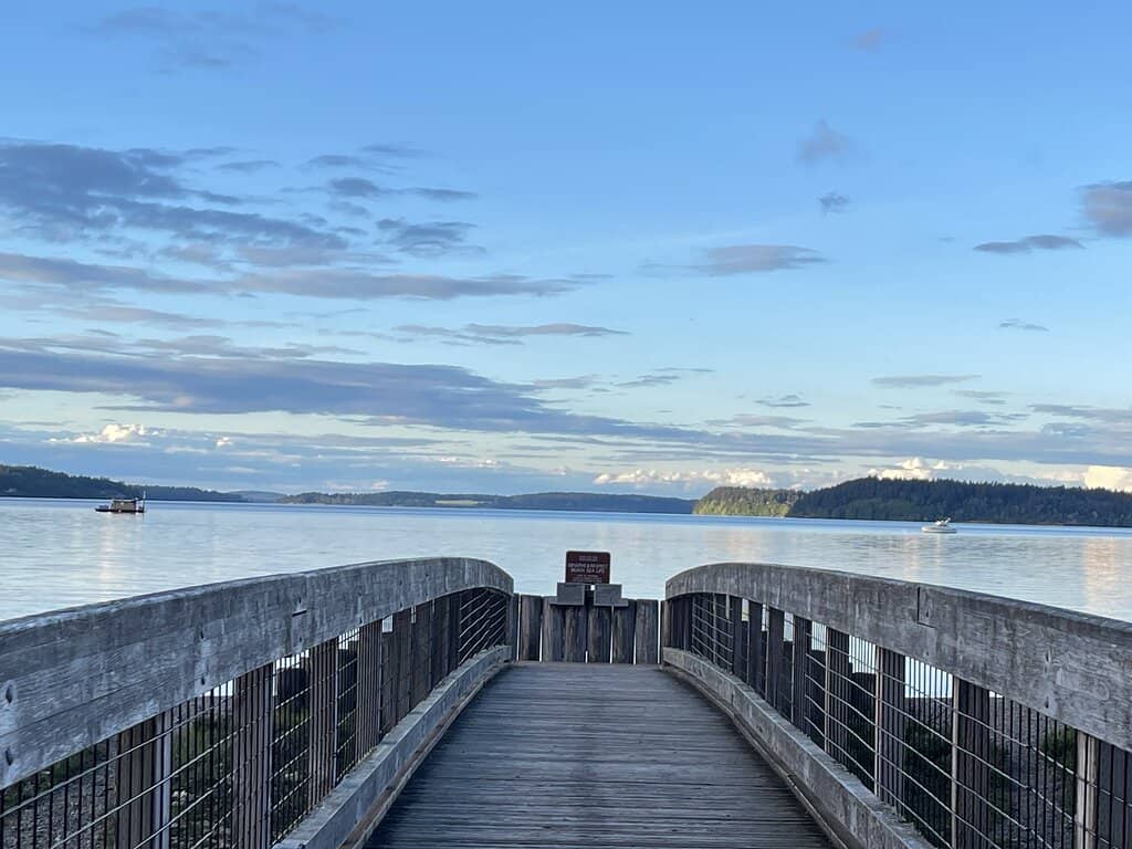 Scuba Diving & Marine Life