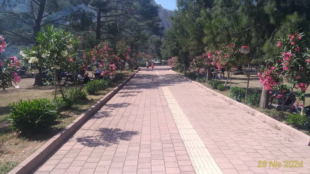 Picnic Pavilions