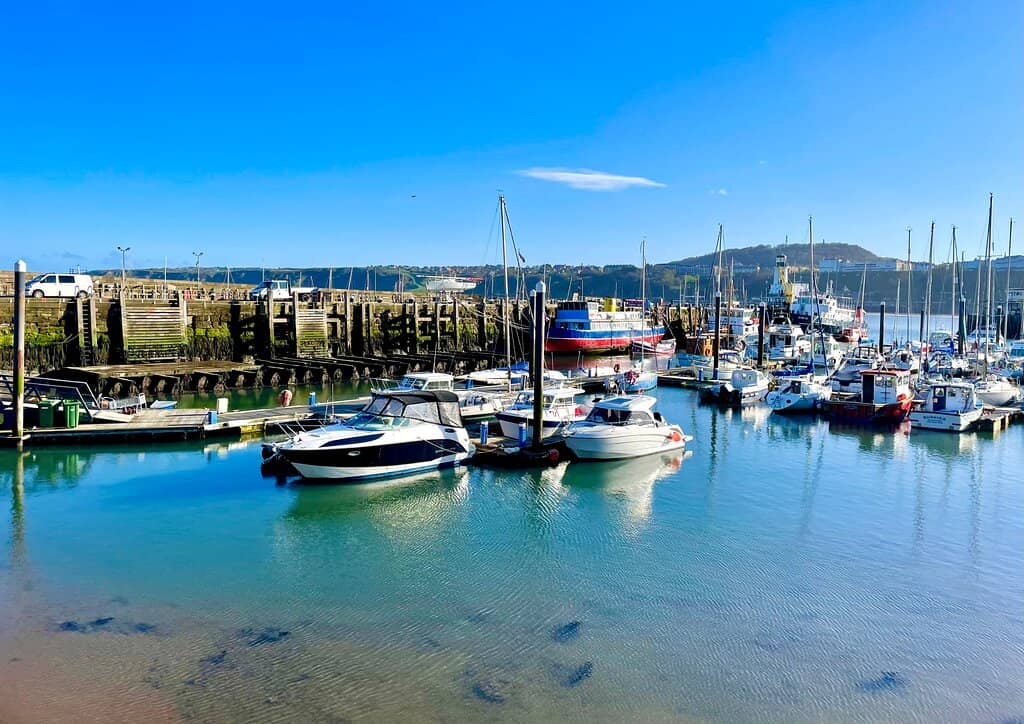 Marina Life