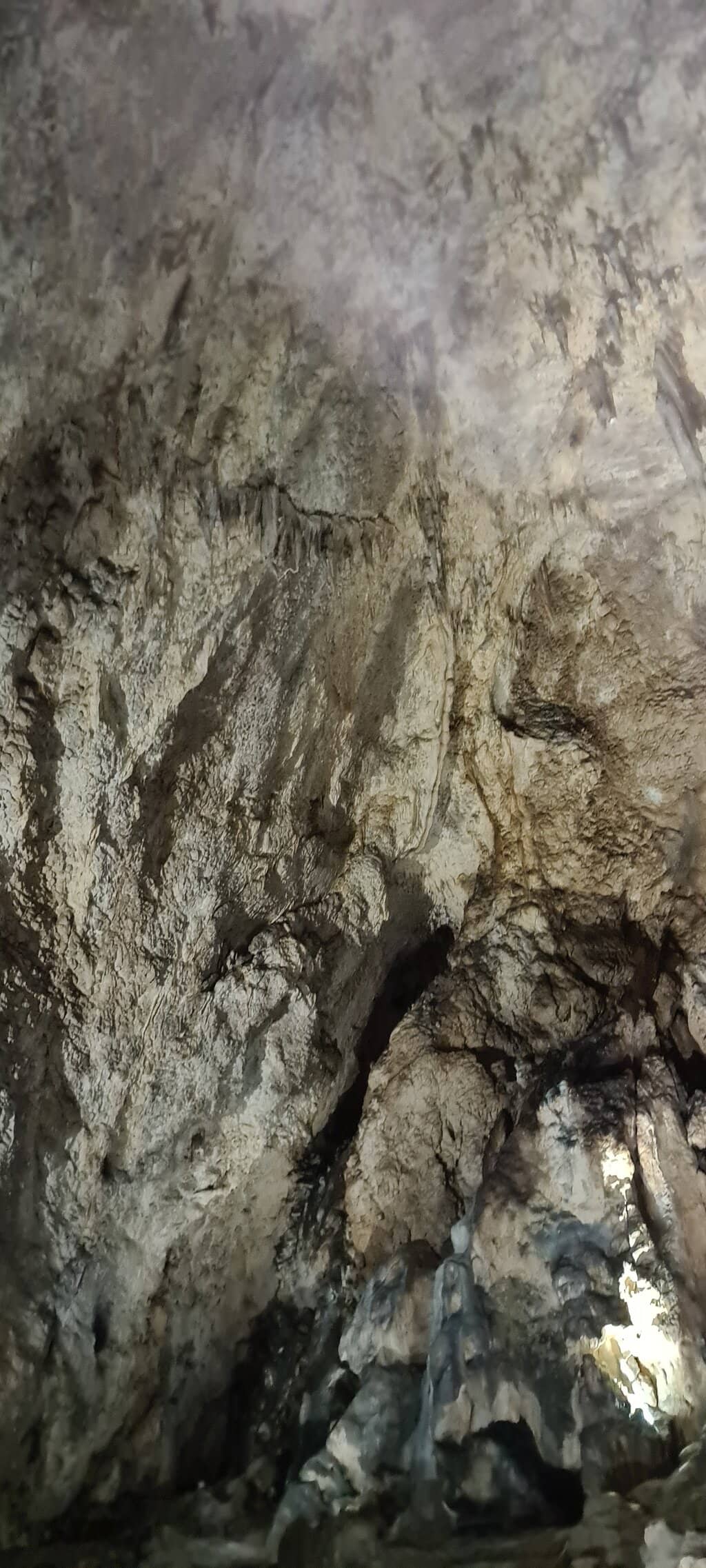 Forest Trek to the Cave