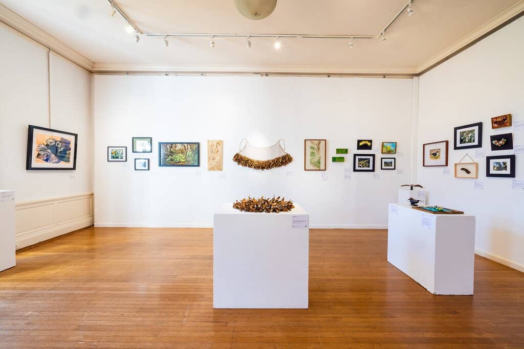 Art Classes & Workshops