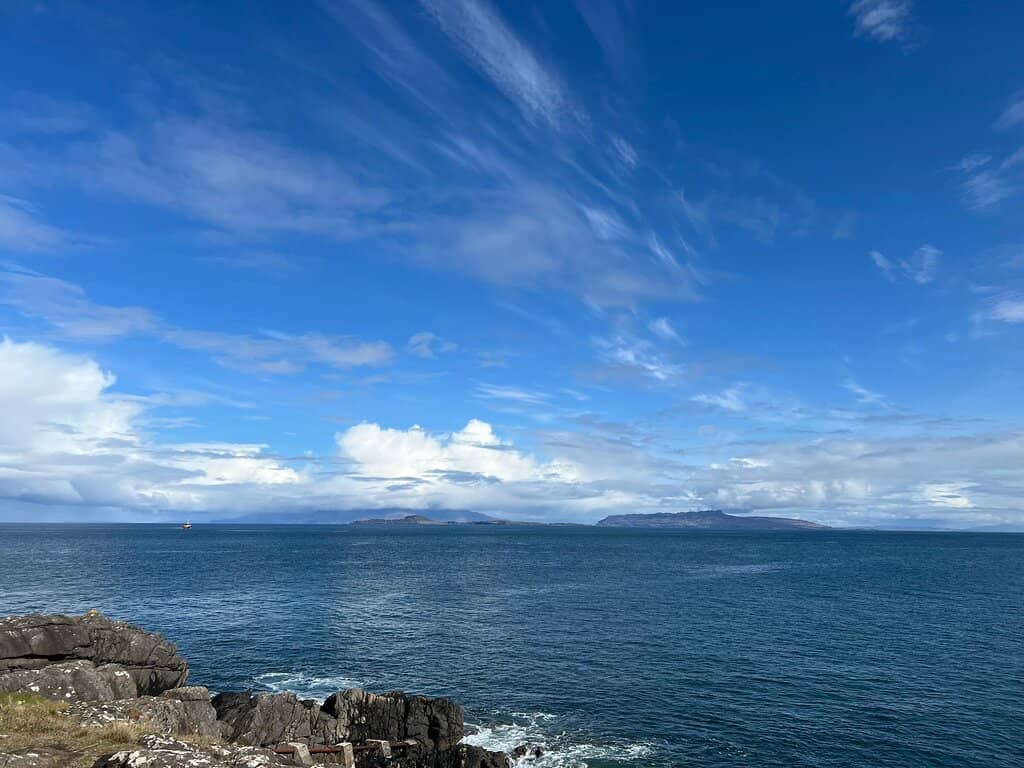 Wildlife Spotting Opportunities