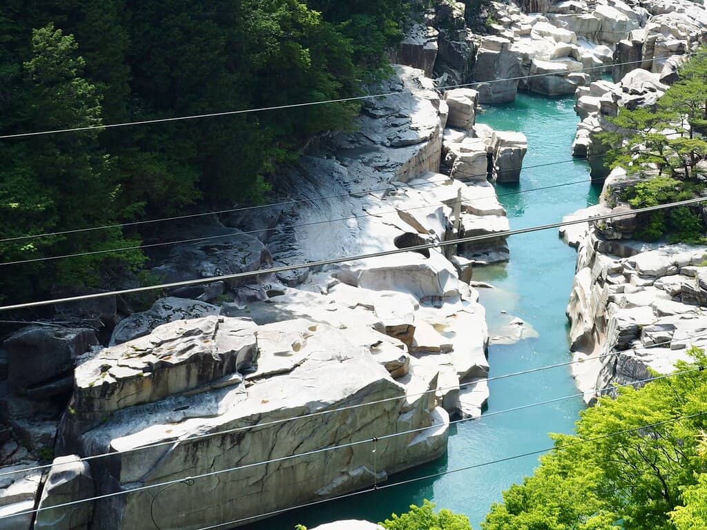 Vertical photo