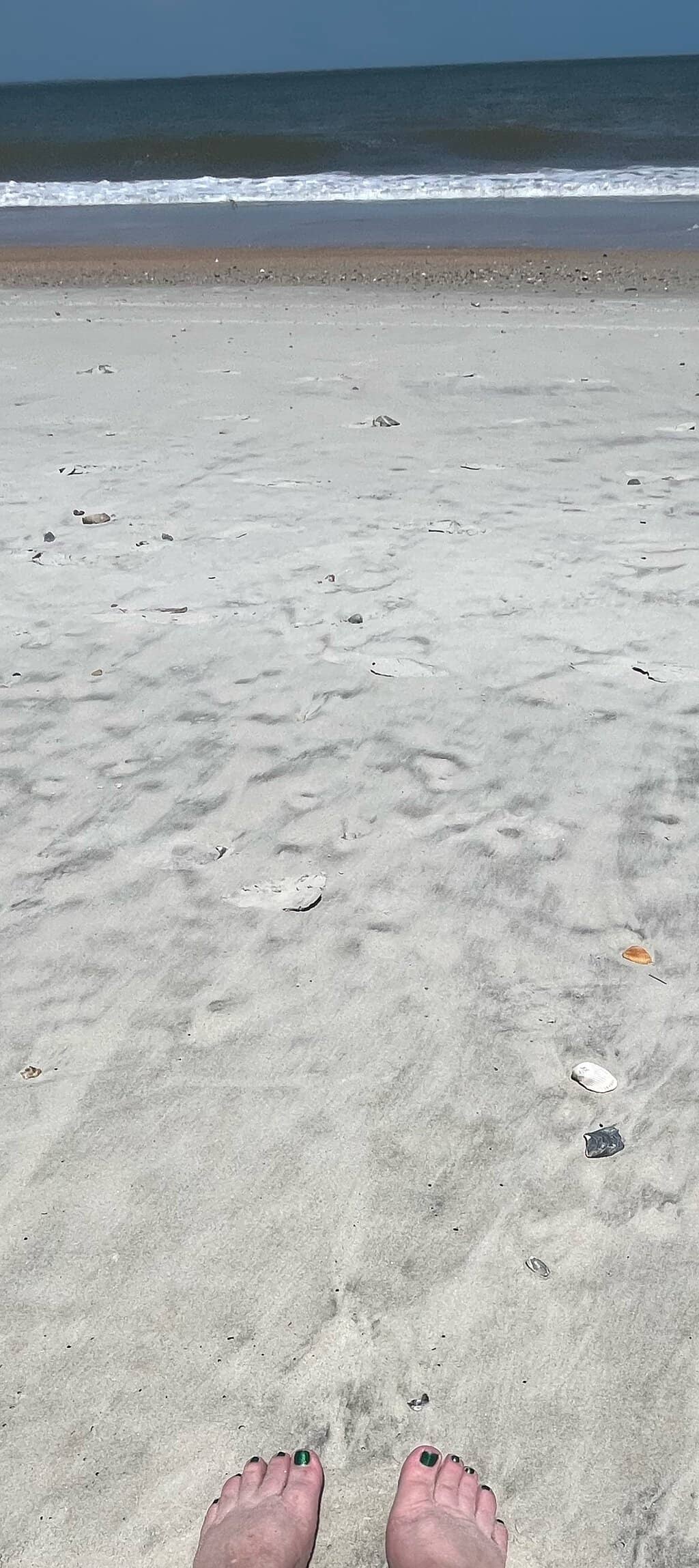 Uncrowded Shores