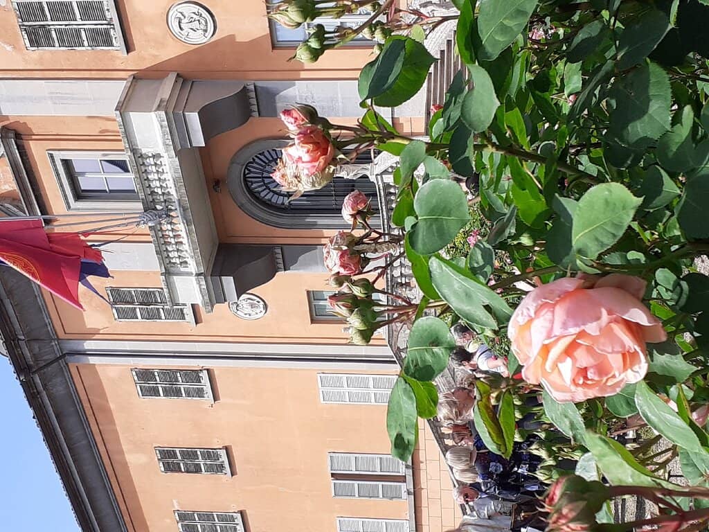 Medicinal Plant Garden