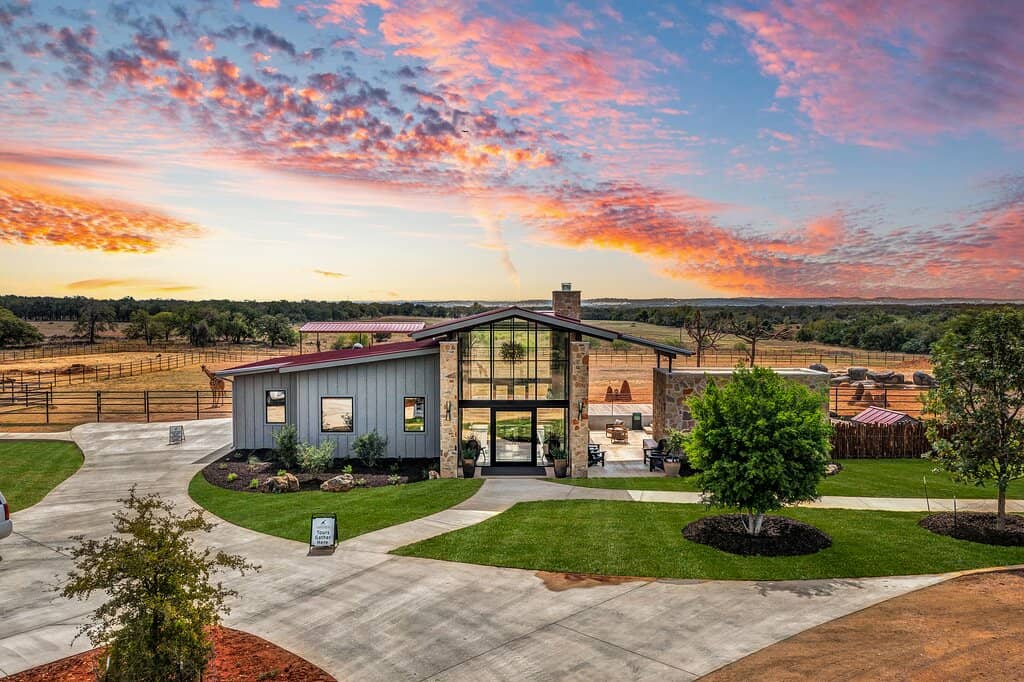 Painting with Animals