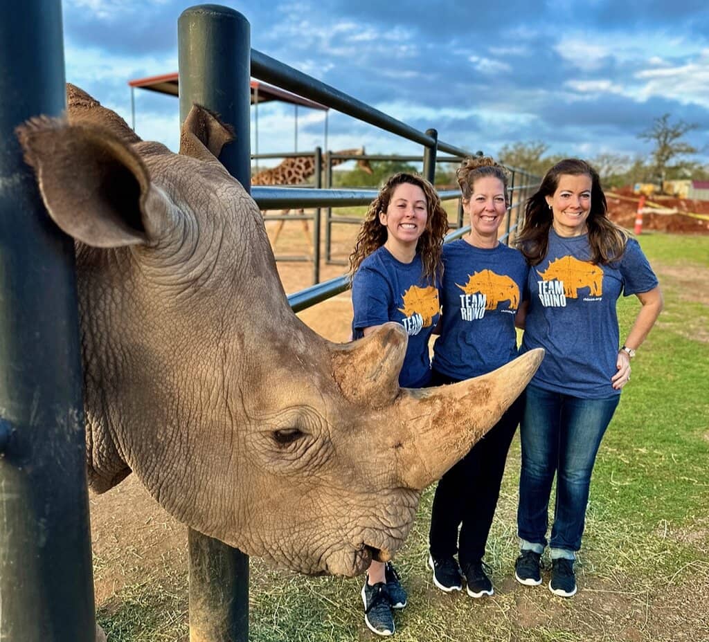 The Giraffe Suite Experience