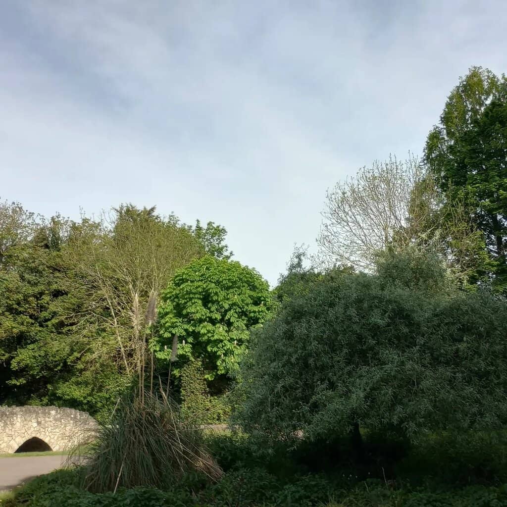 Riverside Walks