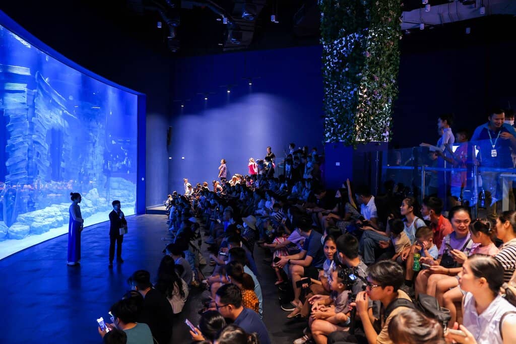 Mermaid Show Magic