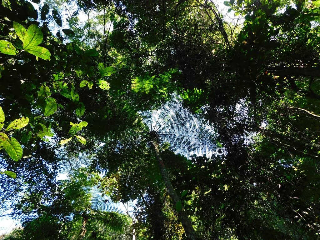 Nature Trails
