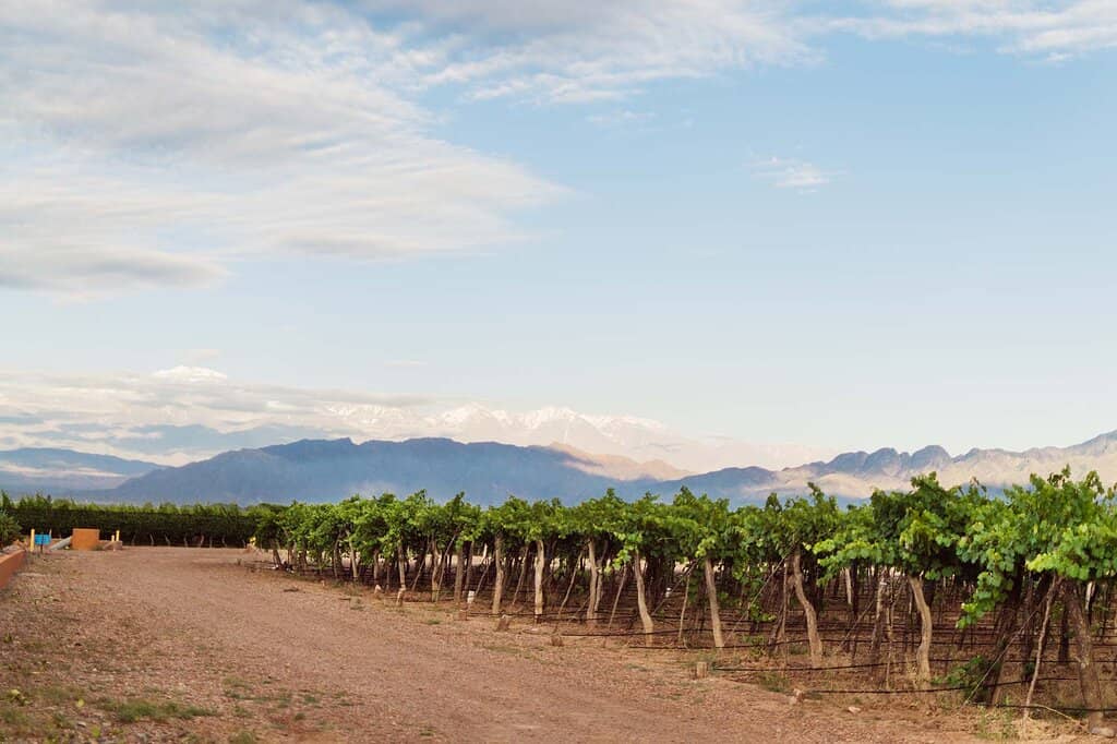 Culinary Delights & Pairings