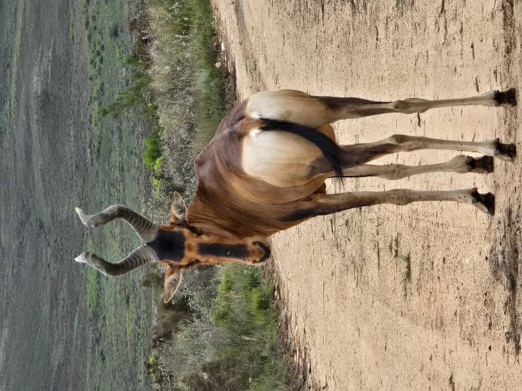 Scenic Hiking & Cycling