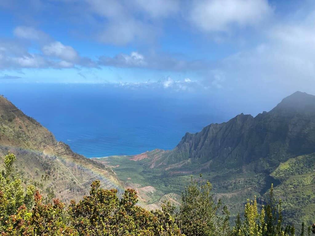 Ocean Views