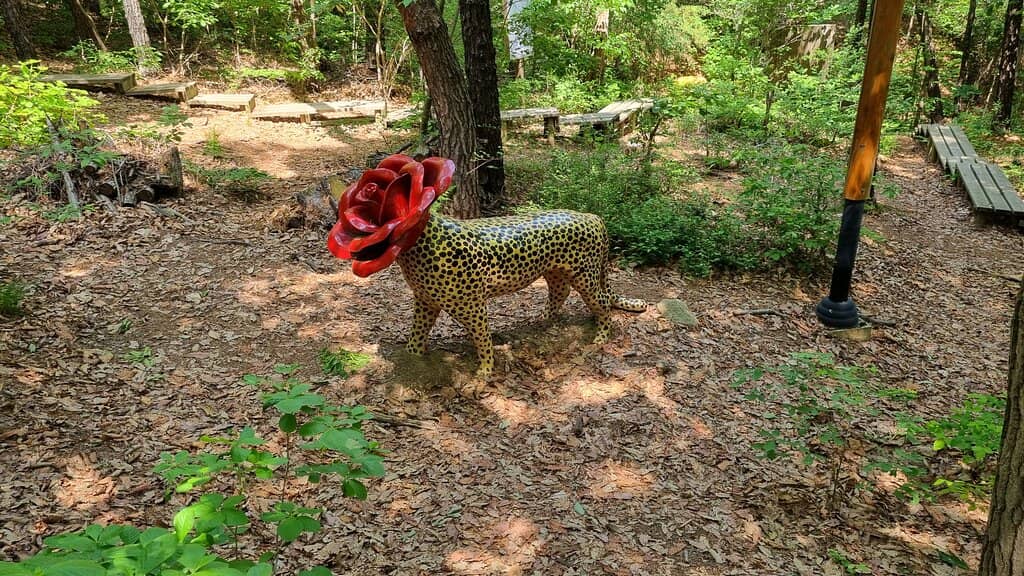 Interactive Art Installations