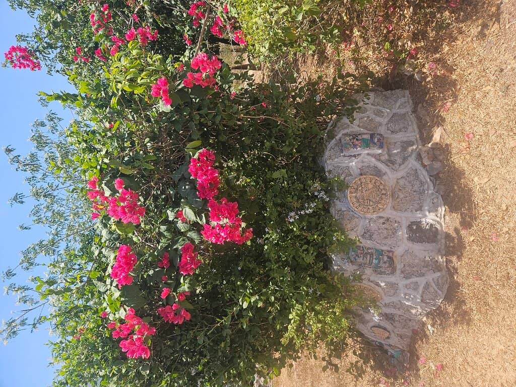 Abundant Wildlife Encounters