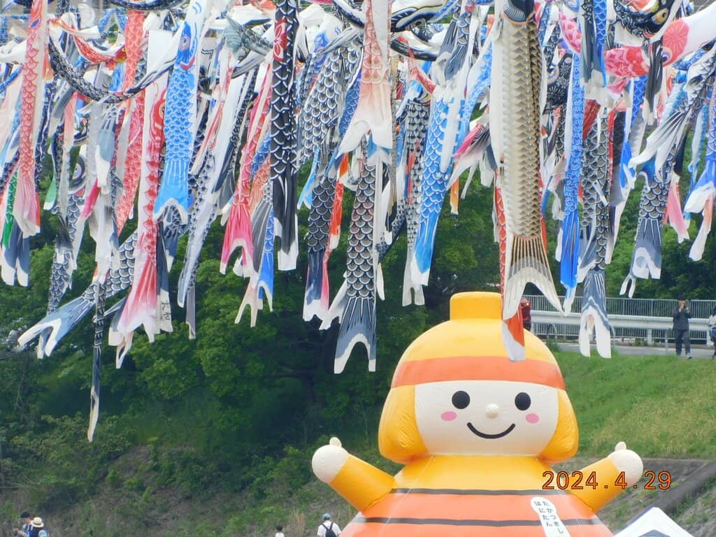 Riverside Cherry Blossoms