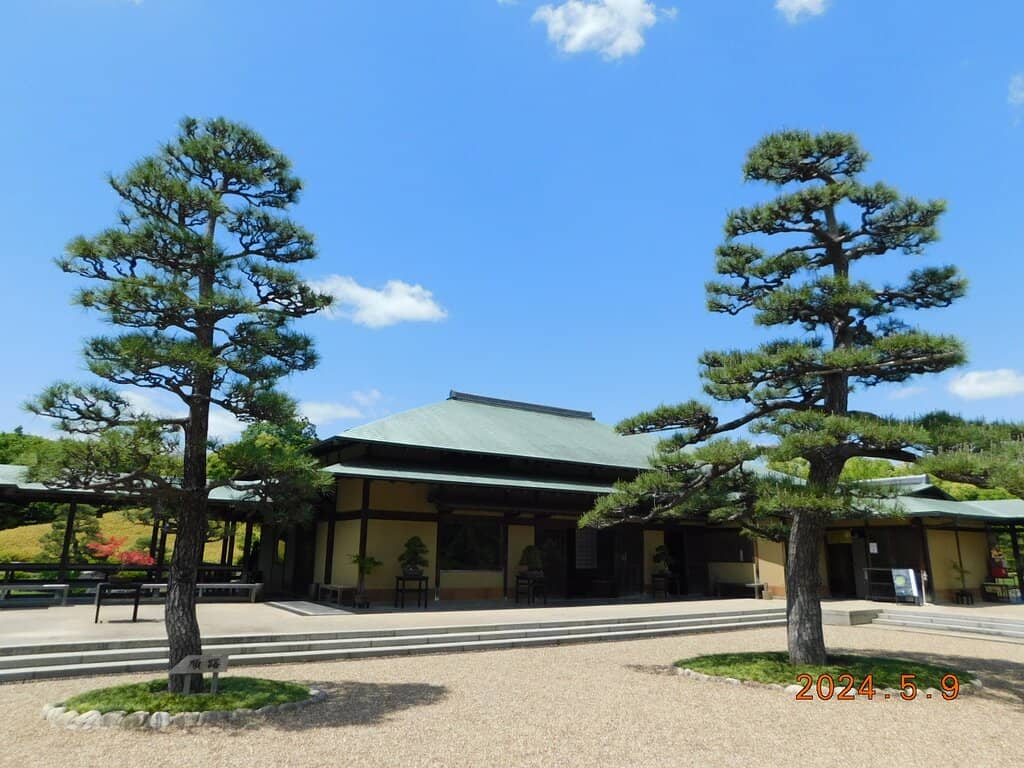 Matcha Cafe Experience