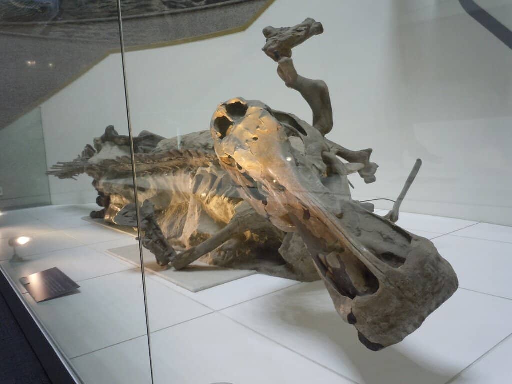 Immersive 3D Dinosaur Films