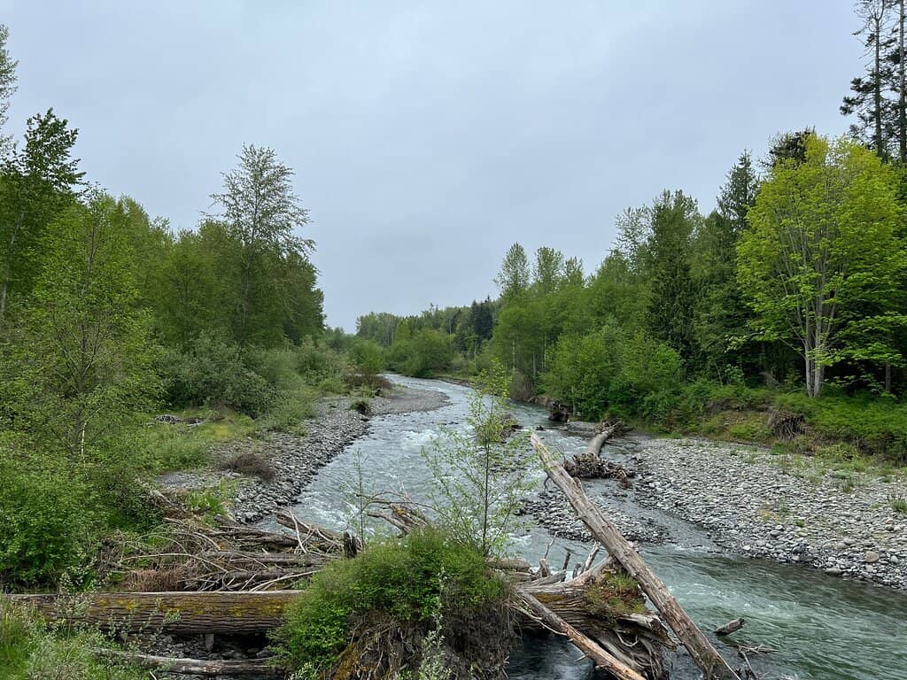 Nature Center Exhibits