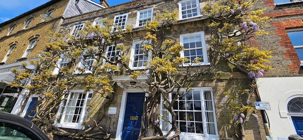 Diverse Antiques Collection