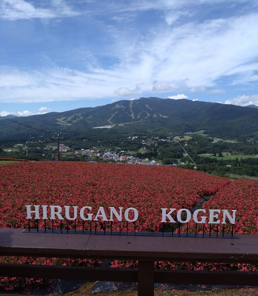 Flower Fields