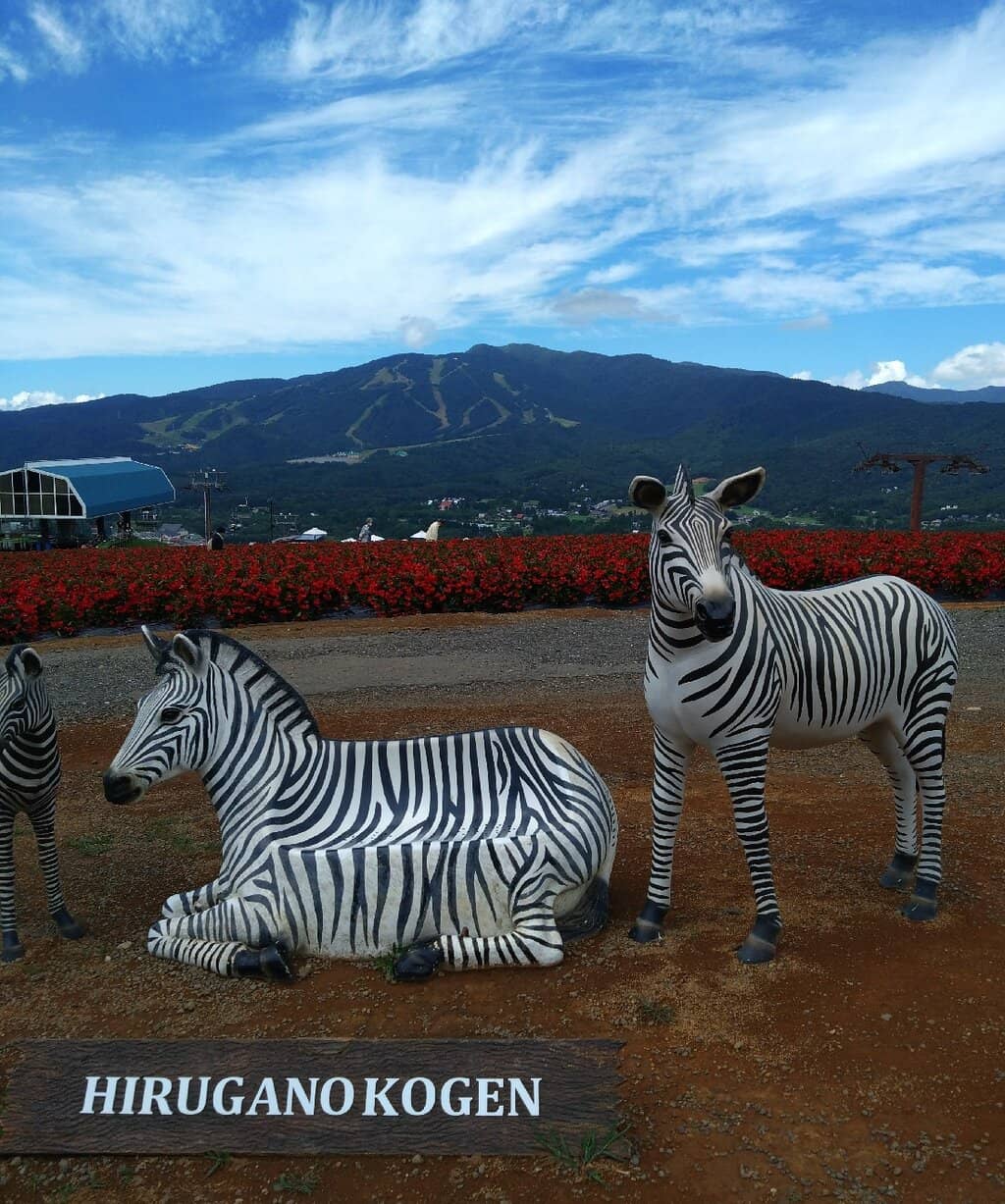 Hirugano Kogen Picnic Garden