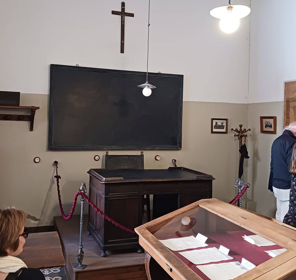 University Museum