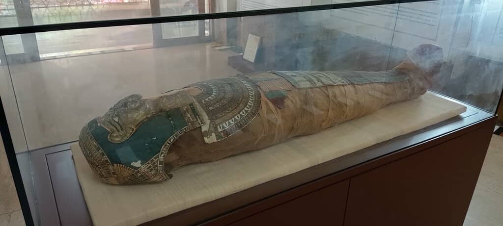 The Egyptian Mummy