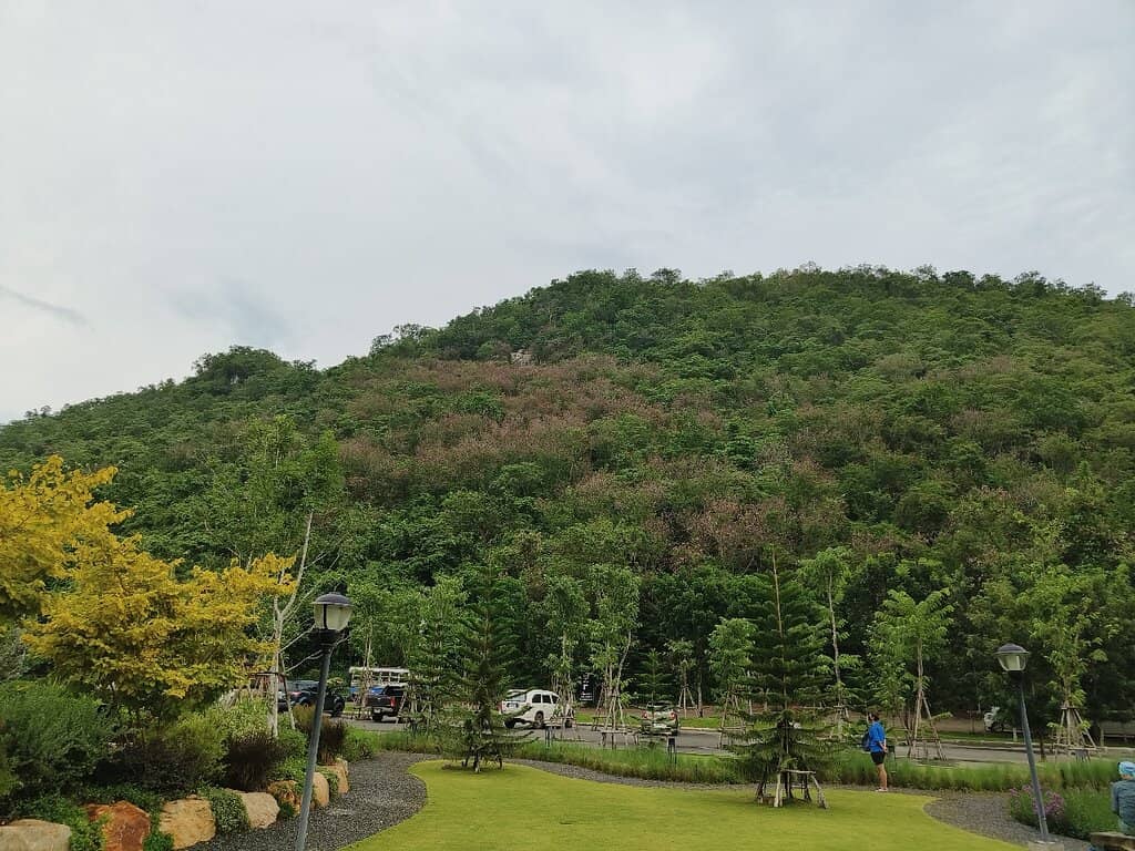 Bird of Prey Spectacle