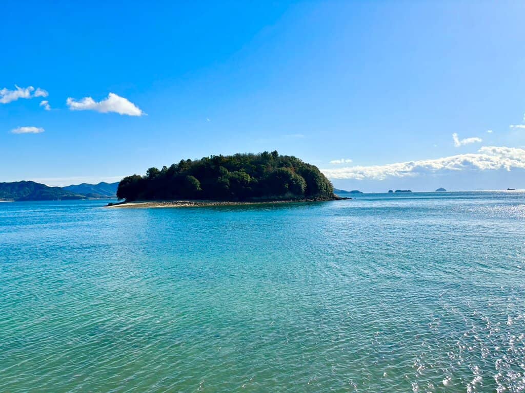 Local Seafood Markets