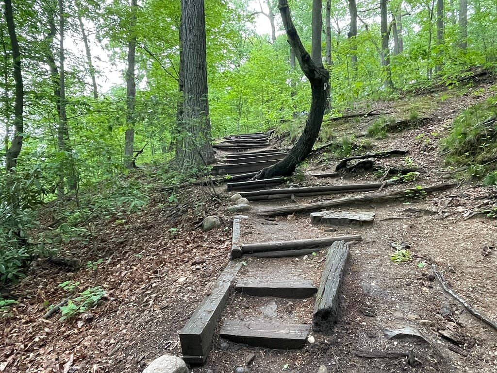 Woodland Trails