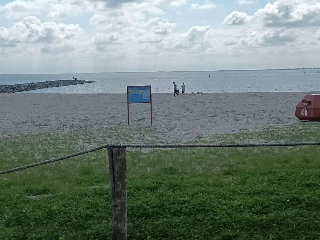 Seaside Relaxation