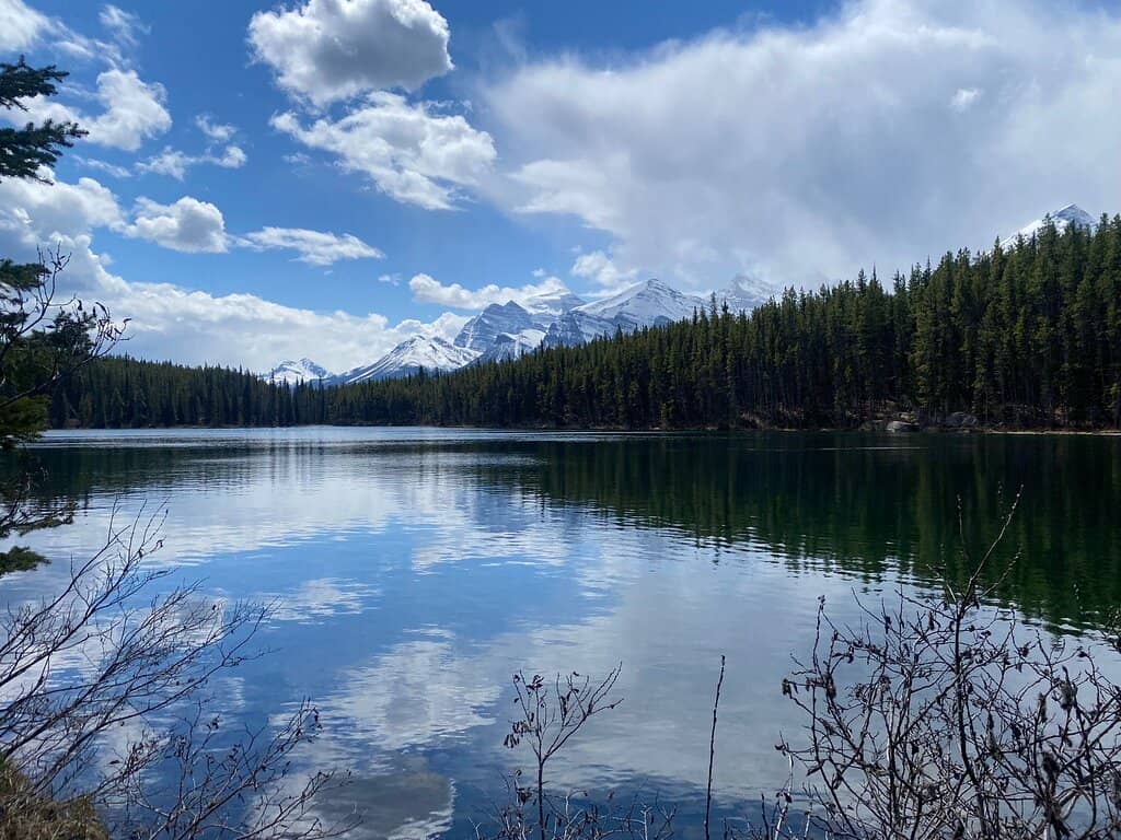 Refreshing Lake Swim