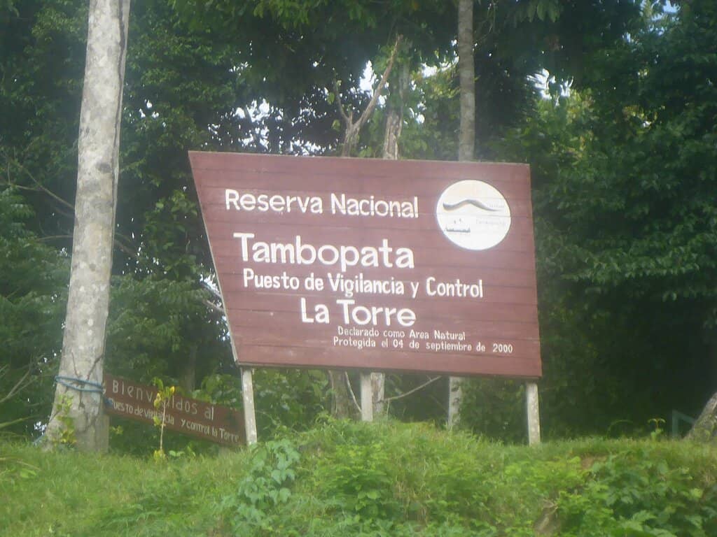 Jungle Lodge Stays