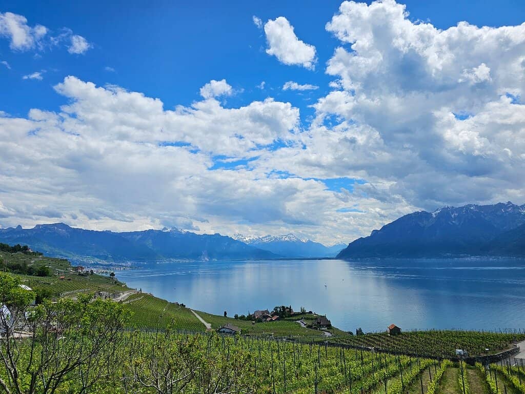 Lavaux Vineyard Terraces
