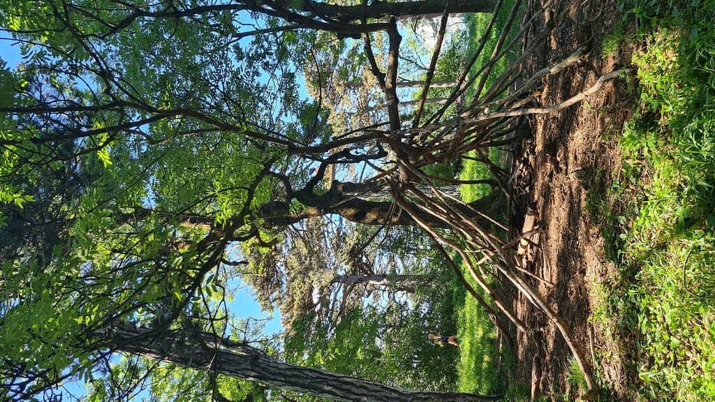 Vertical photo