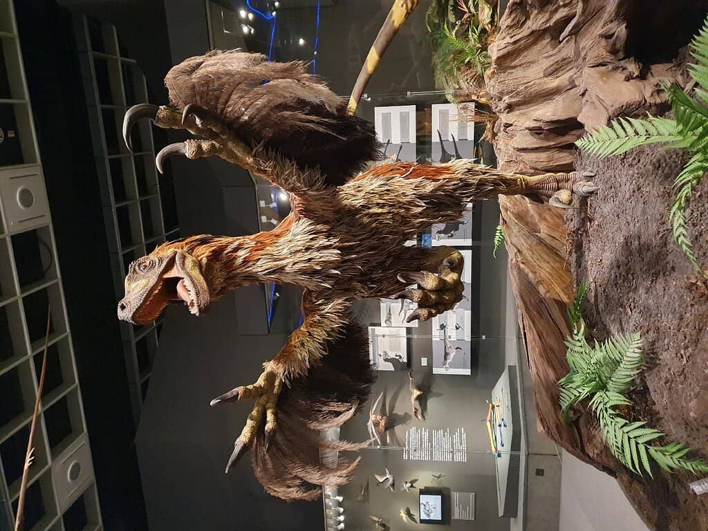 Interactive Exhibits