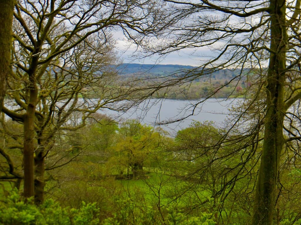 Fell Views