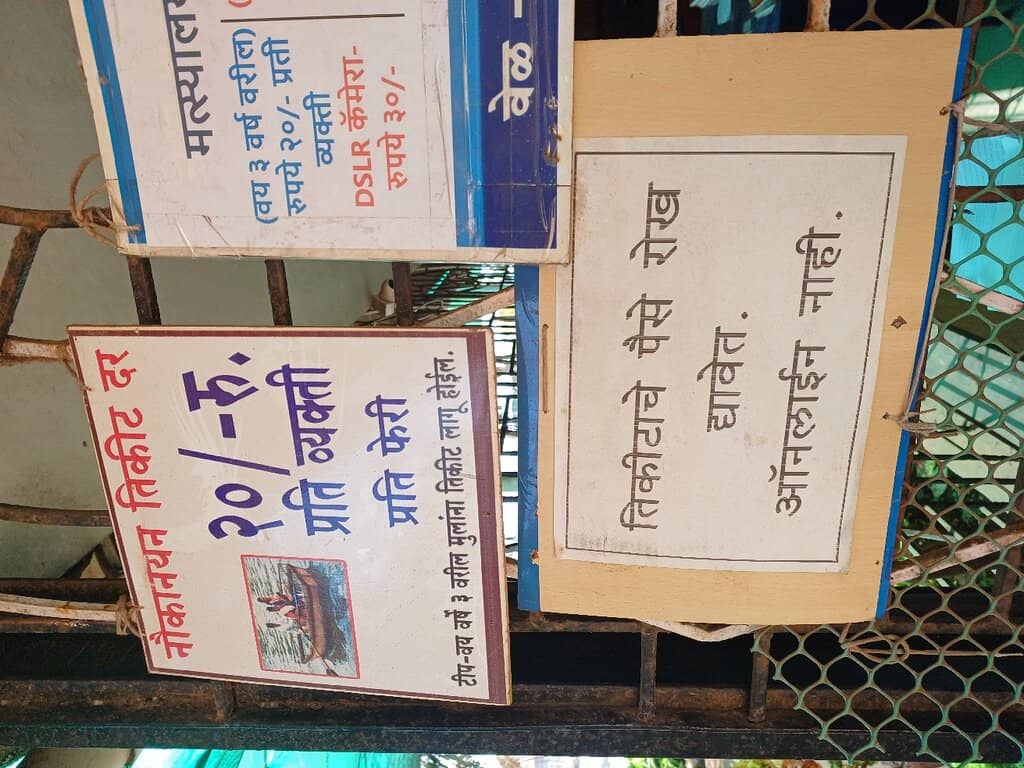 Diverse Marine Specimens