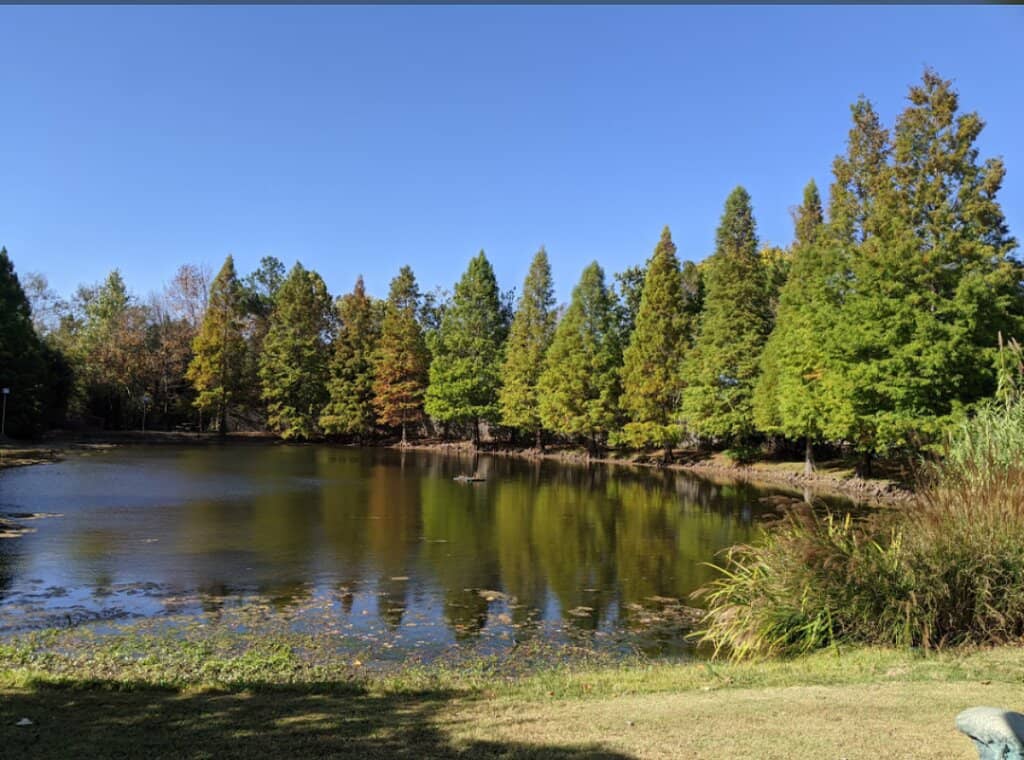 Sculpture Gardens & Public Art