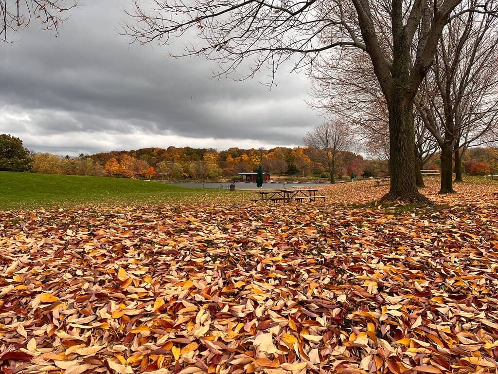 Children's Playground