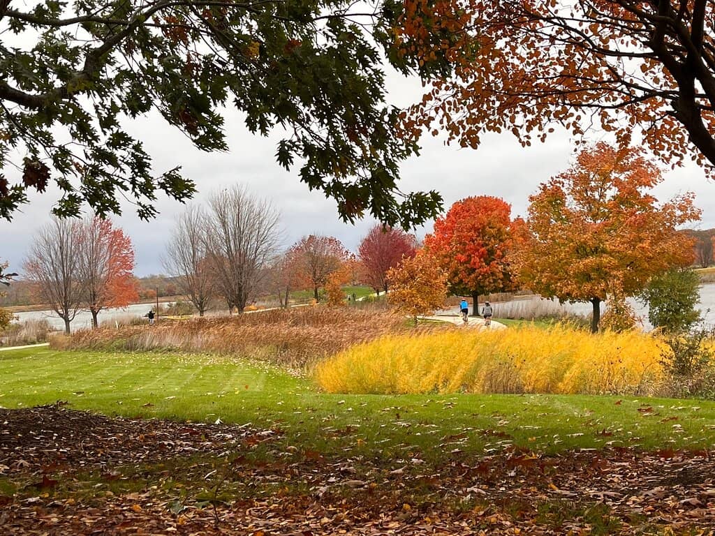 Lakeside Beer Garden